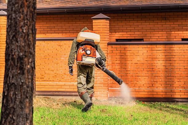 Trusted Emergency Pest Control service in Atlantic Beach, NC - Nex Pest Control
